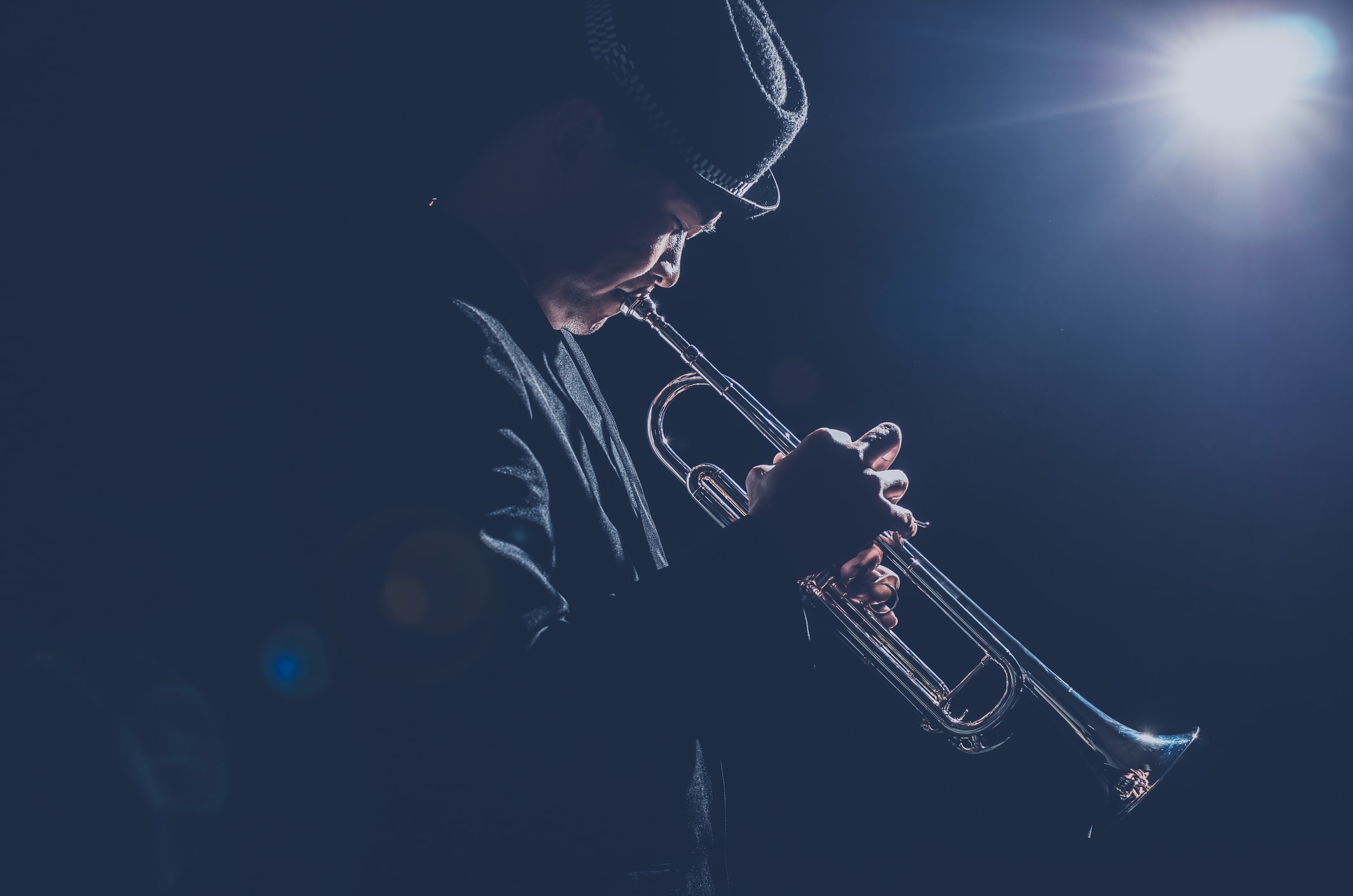 Cape Town International Jazz Festival | Regal Hospitality and Events